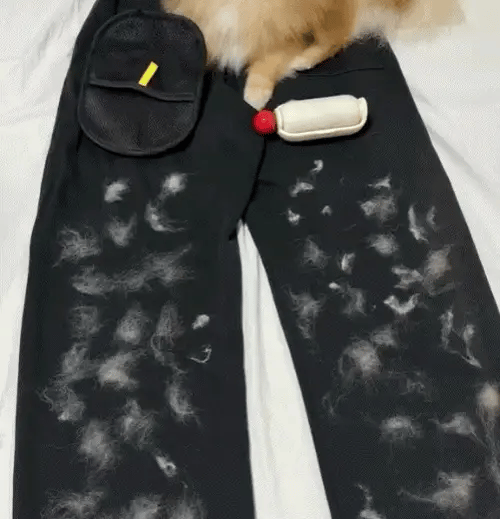 Pet Hair Removal Gloves
